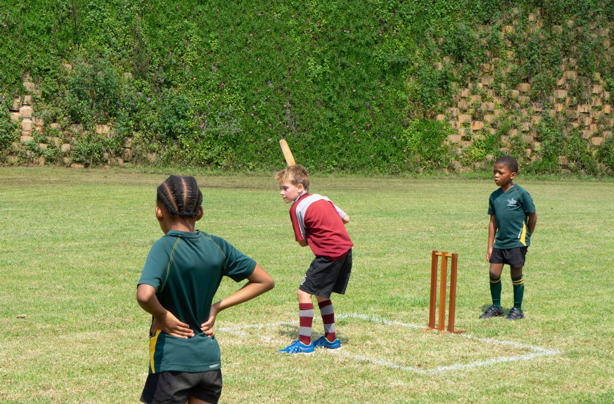 Mini Cricket Festival Domino Servite School